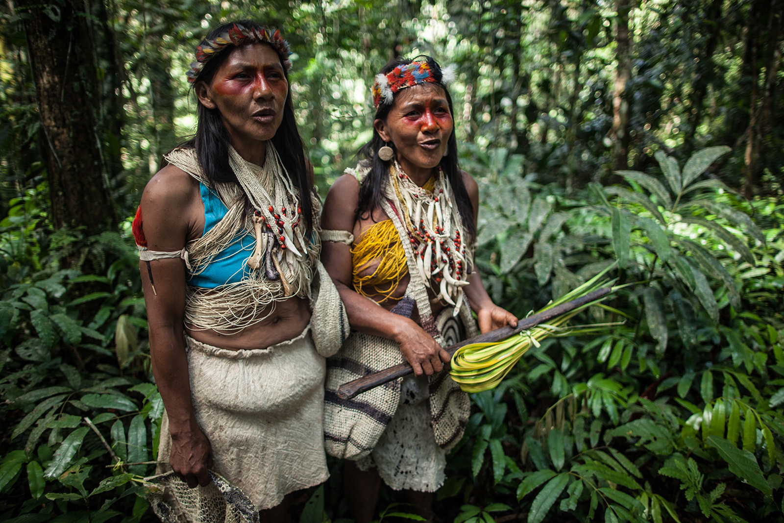 Selva amazónica